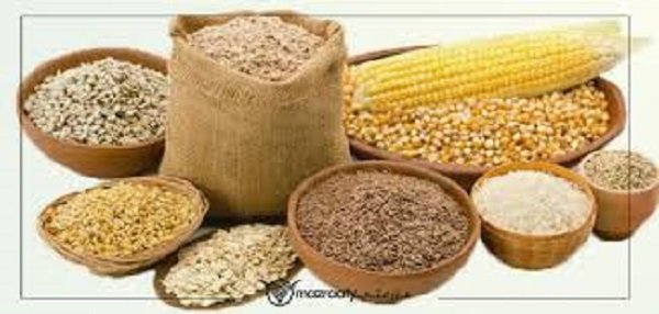 تحديث أسعار الأعلاف والأسمدة الزراعية اليوم تحديث أسعار الأعلاف والأسمدة الزراعية اليوم